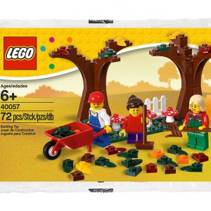 LEGO® 40057 Okolicznościowe Jesień: Spadające liście