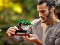 LEGO® 10281 Creator Expert Drzewko Bonsai