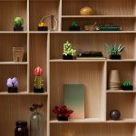 LEGO® 10309 Creator Expert Sukulenty