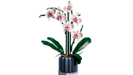 LEGO® 10311 Creator Expert Orchidea
