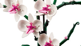 LEGO® 10311 Creator Expert Orchidea