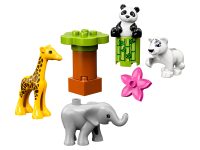 LEGO® 10904 Duplo Małe Zwierzątka