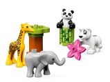 LEGO® 10904 Duplo Małe Zwierzątka