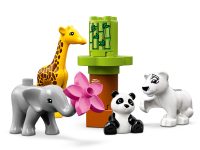 LEGO® 10904 Duplo Małe Zwierzątka