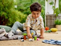 LEGO® 10904 Duplo Małe Zwierzątka