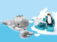 LEGO® 10907 Duplo Zwierzęta świata