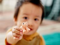 LEGO® 10949 Duplo Zwierzęta gospodarskie