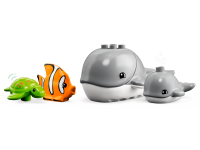 LEGO® 10972 Duplo Dzikie zwierzęta oceanów