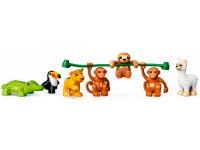 LEGO® 10973 Duplo Dzikie zwierzęta Ameryki Południowej