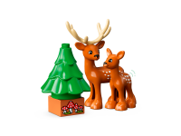 LEGO® 10975 Duplo Dzikie zwierzęta świata