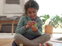 LEGO® 11002 Classic Podstawowe klocki