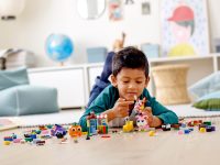 LEGO® 11003 Classic Klocki – buźki