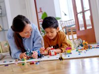 LEGO® 11004 Classic Pomysłowe okienka