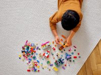 LEGO® 11004 Classic Pomysłowe okienka