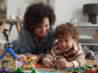 LEGO® 11717 Classic Klocki, klocki, płytki