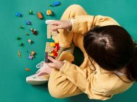 LEGO® 21164 Minecraft Rafa koralowa