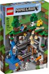 LEGO® 21169 Minecraft Pierwsza przygoda