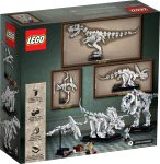 LEGO® 21320 Ideas Szkielety dinozaurów