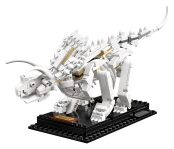 LEGO® 21320 Ideas Szkielety dinozaurów