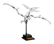 LEGO® 21320 Ideas Szkielety dinozaurów