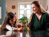 LEGO® 21326 Ideas Kubuś Puchatek