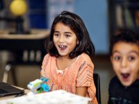 LEGO® 45300 Education Zestaw podstawowy WeDo 2.0