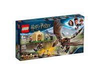 LEGO® 75946 Harry Potter Rogogon węgierski na Turnieju Trójmagicznym