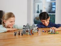 LEGO® 75947 Harry Potter Chatka Hagrida: na ratunek Hardodziobowi