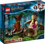LEGO® 75967 Harry Potter Zakazany Las: spotkanie Umbridge