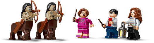 LEGO® 75967 Harry Potter Zakazany Las: spotkanie Umbridge