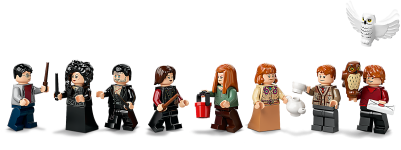 LEGO® 75980 Harry Potter Atak na Norę