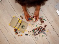 LEGO® 76384 Harry Potter Chwile z Hogwartu: zajęcia z zielarstwa