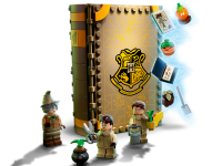 LEGO® 76384 Harry Potter Chwile z Hogwartu: zajęcia z zielarstwa