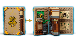LEGO® 76384 Harry Potter Chwile z Hogwartu: zajęcia z zielarstwa