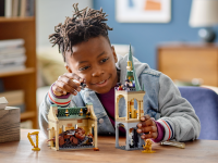 LEGO® 76387 Harry Potter Hogwart: spotkanie z Puszkiem
