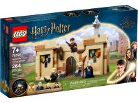LEGO® 76395 Harry Potter Hogwart: Pierwsza lekcja latania