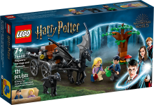 LEGO® 76400 Harry Potter Testrale i kareta z Hogwartu