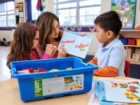 LEGO® 9656 Education Zestaw prostych maszyn