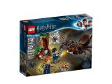 LEGO® 75950 Harry Potter Legowisko Aragoga
